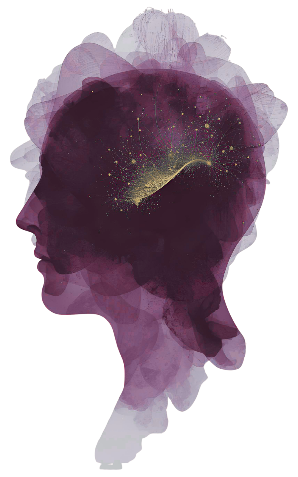 Mind Spark Academy